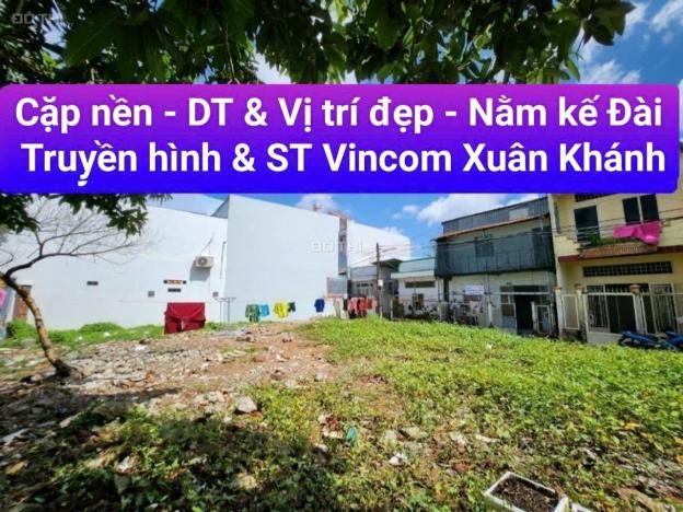4272723 ảnh đại diện 2