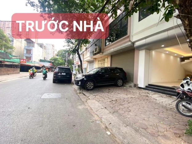 4273484 ảnh đại diện 2