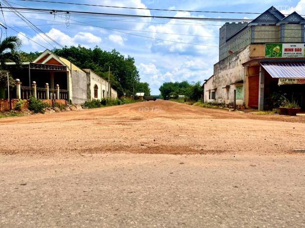 4271844 ảnh đại diện 1