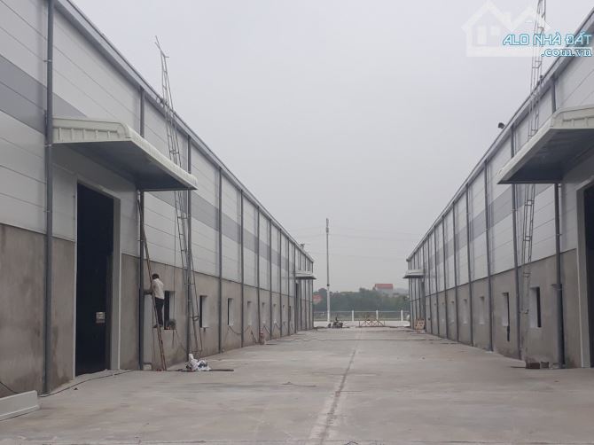 4271680 ảnh đại diện 1