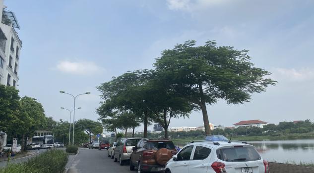 4274083 ảnh đại diện 1