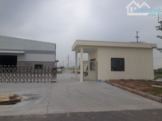 4271680 ảnh đại diện 2