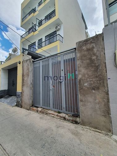 4273604 ảnh đại diện 1