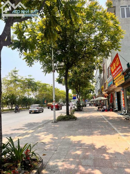 4271716 ảnh đại diện 1