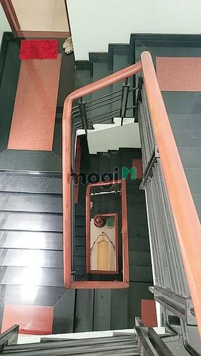 4273456 ảnh đại diện 2
