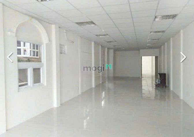 4273043 ảnh đại diện 2