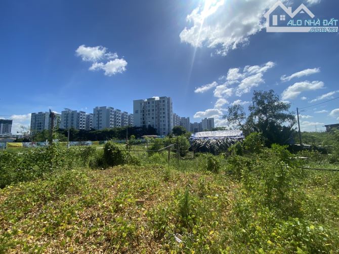 4271870 ảnh đại diện 2