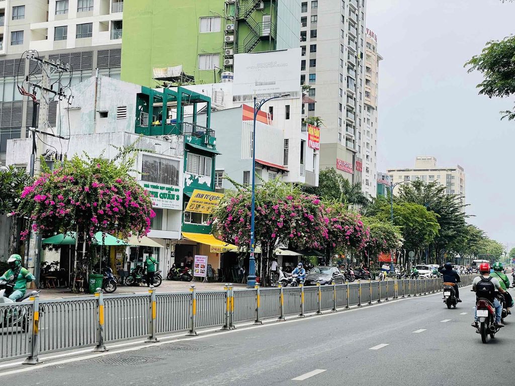 4273299 ảnh đại diện 1