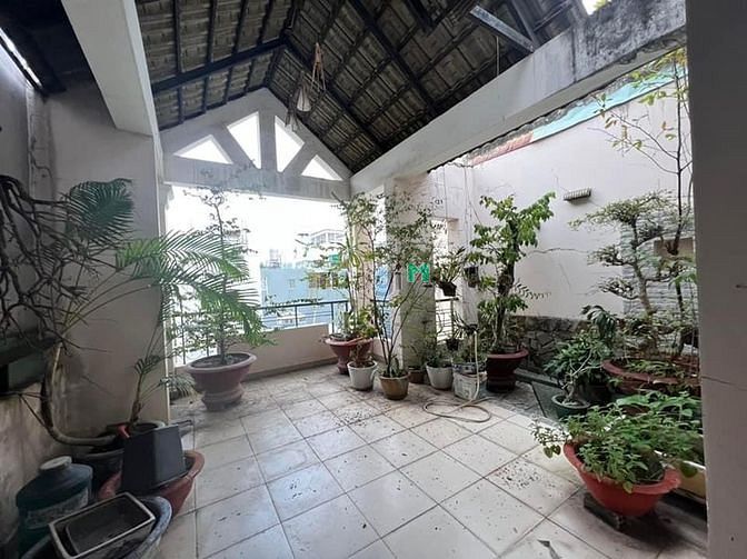 4272837 ảnh đại diện 2