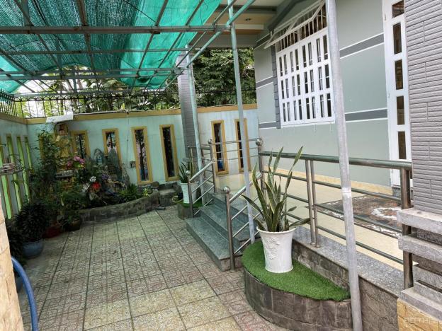4271075 ảnh đại diện 2