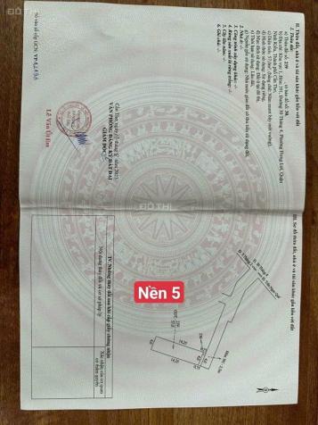 4272723 ảnh đại diện 1