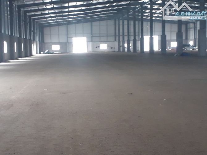 4271680 ảnh đại diện 1