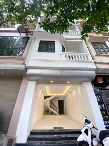 4273484 ảnh đại diện 1