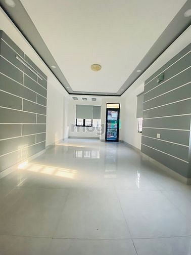 4273186 ảnh đại diện 1