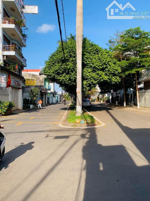 4271406 ảnh đại diện 1