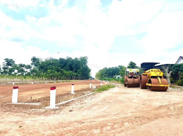 4271844 ảnh đại diện 2