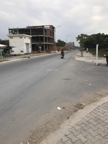 4273276 ảnh đại diện 2