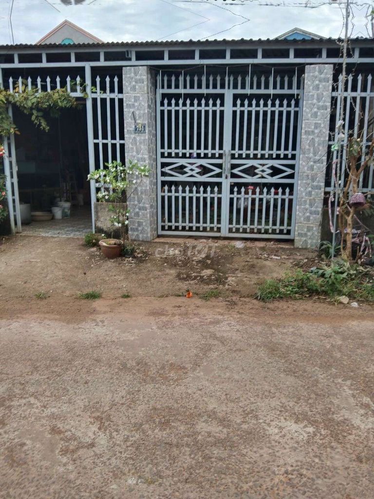 4273208 ảnh đại diện 1
