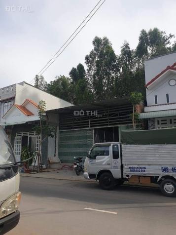 4272783 ảnh đại diện 1