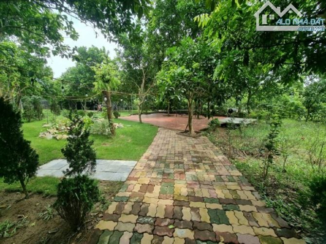 4272522 ảnh đại diện 1