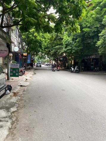 4271412 ảnh đại diện 1