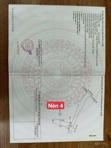 4272723 ảnh đại diện 1