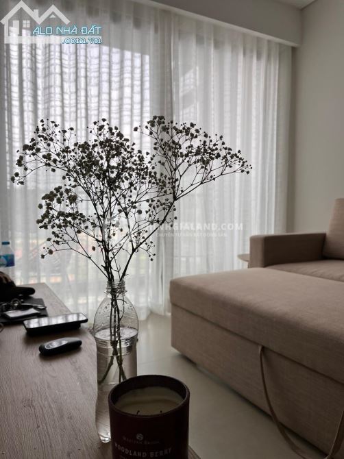 4272123 ảnh đại diện 2