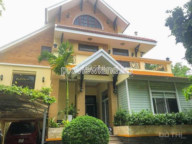 4272523 ảnh đại diện 1