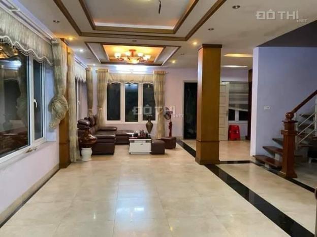 4271454 ảnh đại diện 2