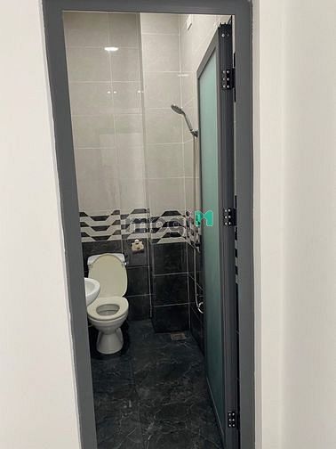 4272031 ảnh đại diện 2