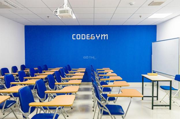 4272887 ảnh đại diện 2
