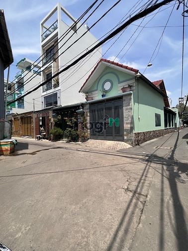 4272661 ảnh đại diện 2