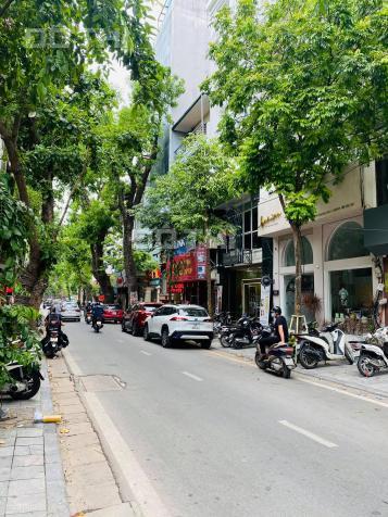 4271531 ảnh đại diện 1