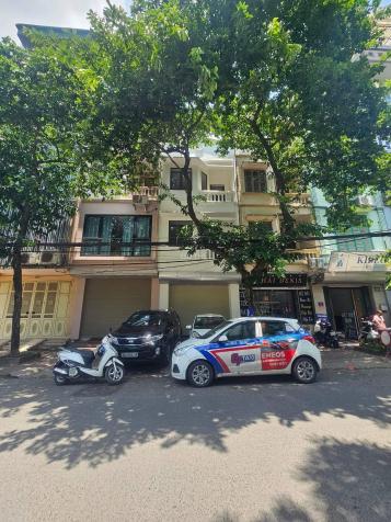 4273484 ảnh đại diện 1