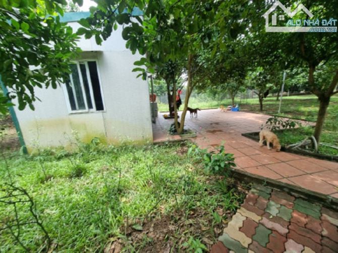 4272522 ảnh đại diện 2