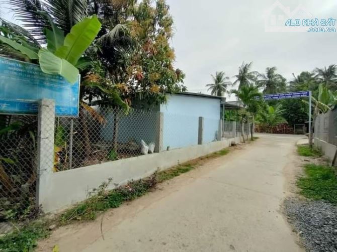 4271353 ảnh đại diện 2