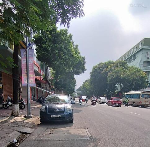 4277909 ảnh đại diện 1