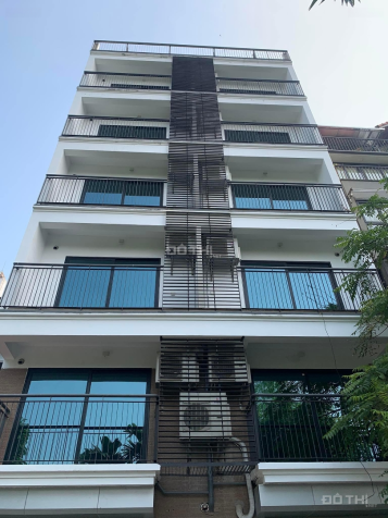 4276714 ảnh đại diện 1