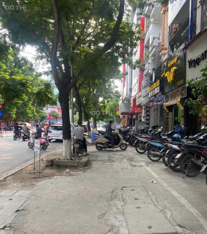 4277909 ảnh đại diện 1