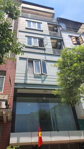 4277499 ảnh đại diện 1