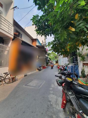 4275492 ảnh đại diện 1