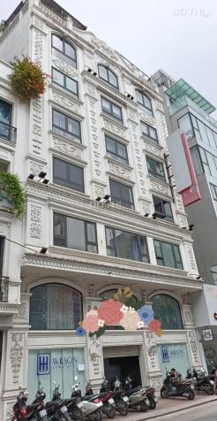 4277380 ảnh đại diện 1