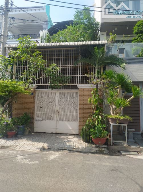 4275525 ảnh đại diện 1