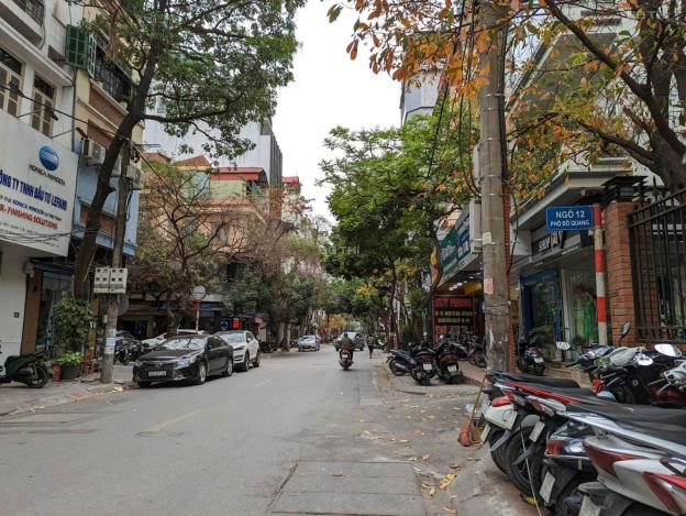 4276395 ảnh đại diện 1