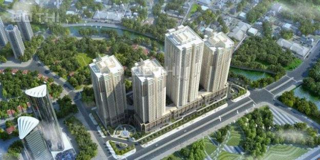 4275929 ảnh đại diện 1