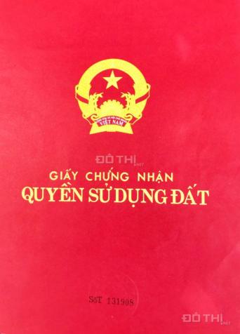 4275119 ảnh đại diện 1