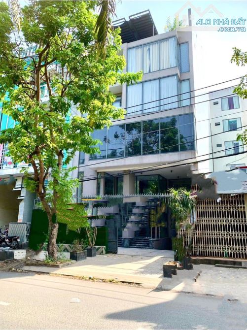 4274510 ảnh đại diện 1