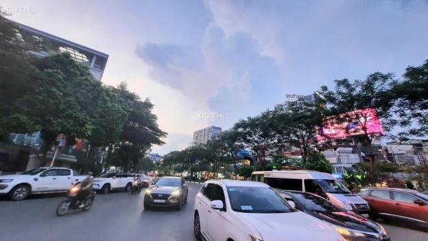 4277444 ảnh đại diện 1