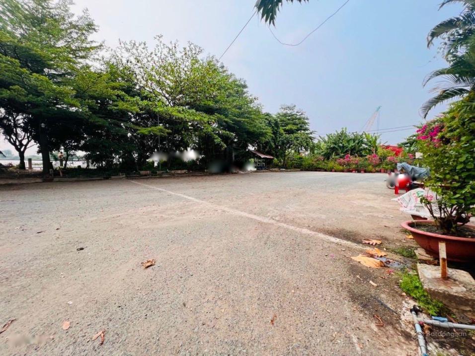 4277328 ảnh đại diện 1
