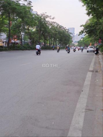 4277445 ảnh đại diện 1